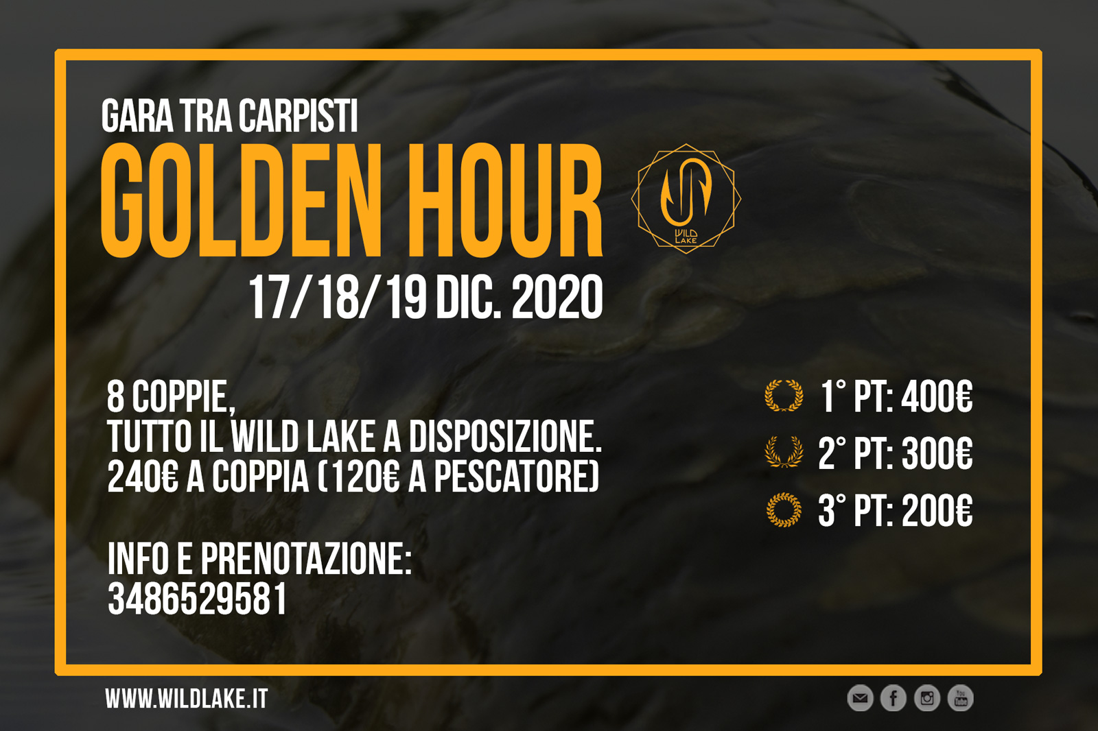 Golden Hour – Wild Lake